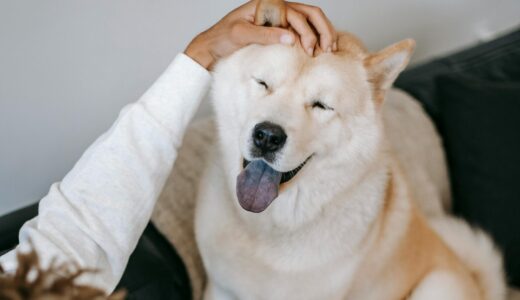 「人から優しい人と思われたい！」本当に優しい人ってどんな人？優しい人に共通する特徴４つを紹介！